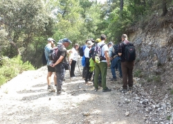 GEOLODÍA 2023 - Las minas de calamina de Riópar