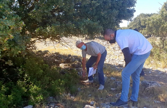 La Diputación Provincial de Albacete promueve a través del Instituto de Estudios Albacetenses “Don Juan Manuel”, las excavaciones arqueológicas en Higueruela ‘Alquerías 2020’.