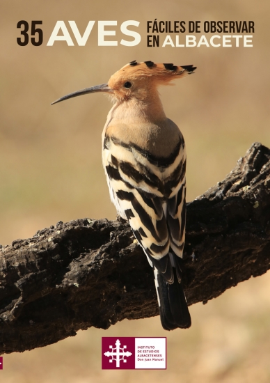35 aves fáciles de observar en Albacete