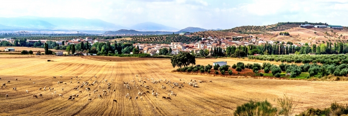 Recorriendo Albacete Povedilla