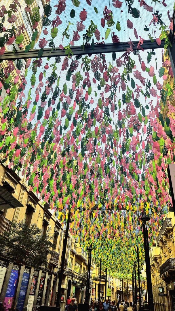 Albacete Ahora "4 Seasons"