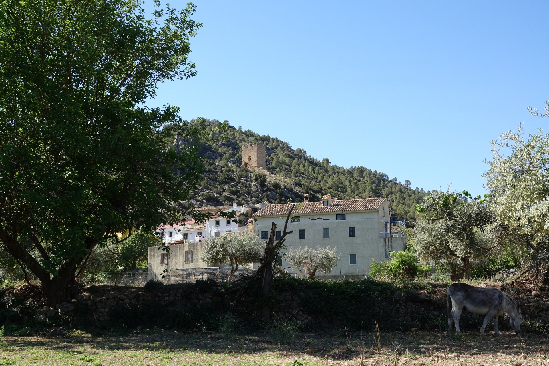 Albacete Ahora Vizcable. Torreón atalaya
