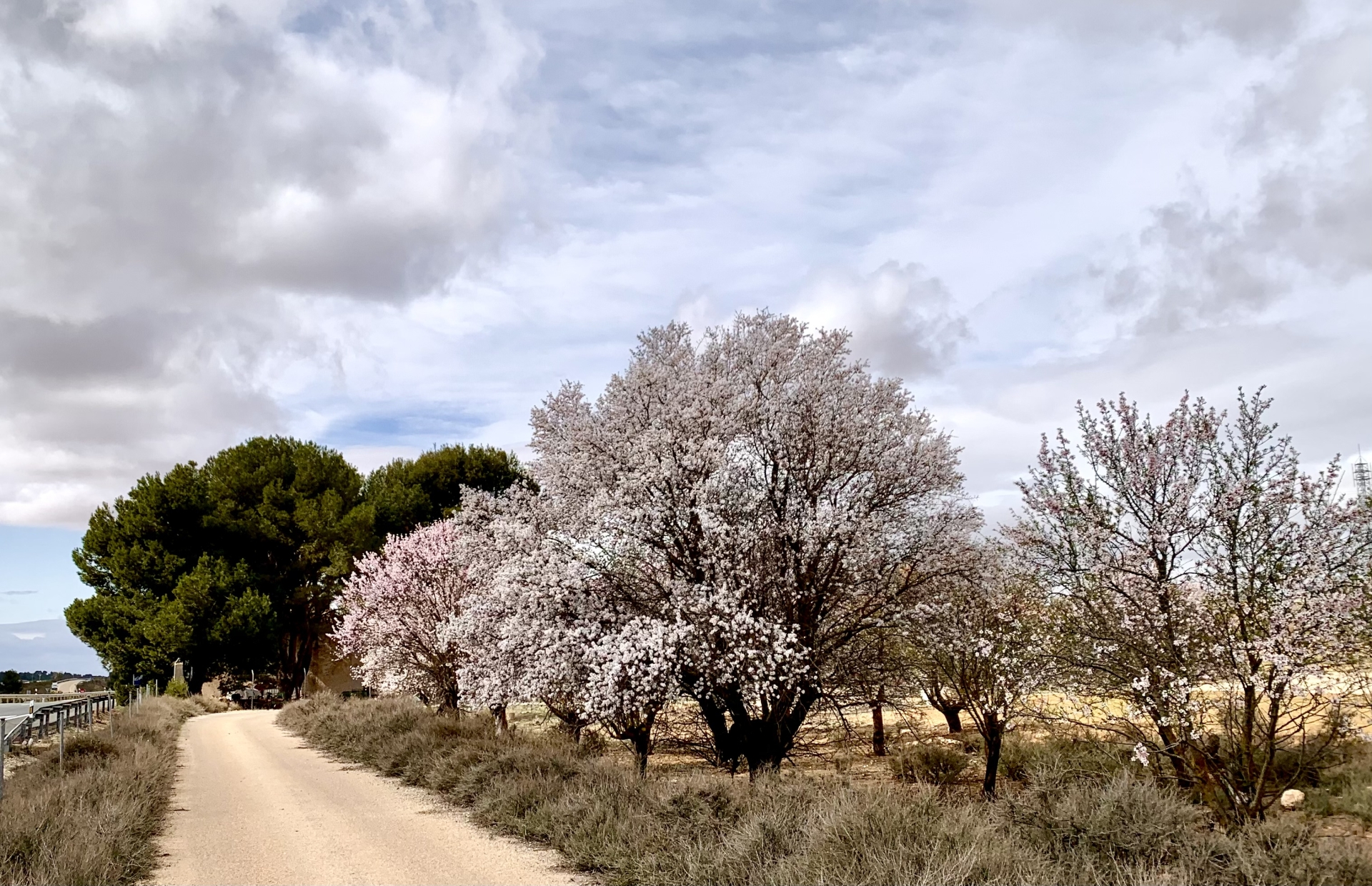 Albacete Ahora Llegando a Venta Peñacárcel