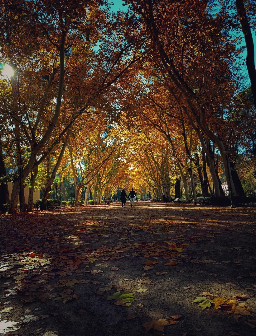 Albacete Ahora Parque Abelardo S&aacute;nchez
