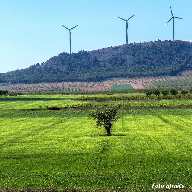 Albacete Ahora Campillo de la Virgen