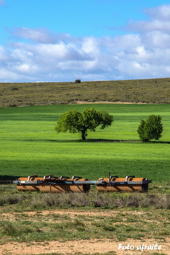 Albacete Ahora Campillo de la Virgen