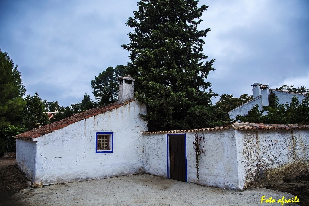 Albacete Ahora El Jard&iacute;n