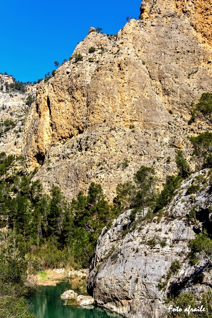 Albacete Ahora Ca&ntilde;ones del J&uacute;car