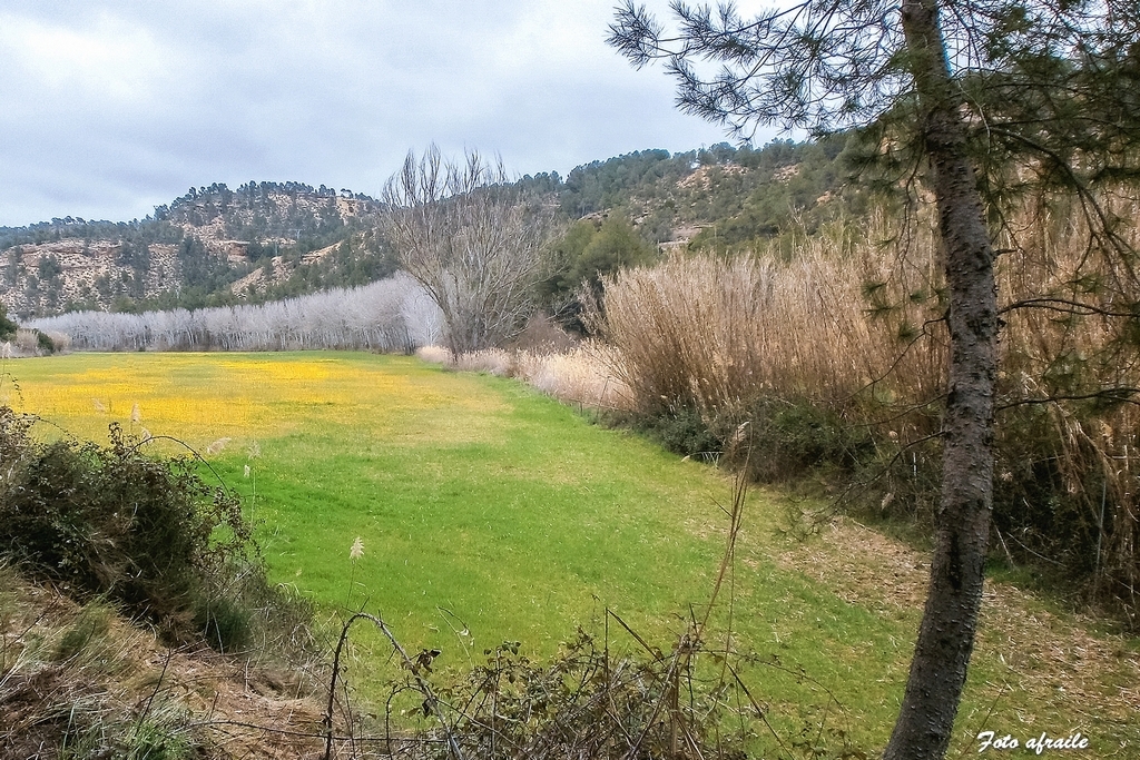 Albacete Ahora Toyo de la Torgura