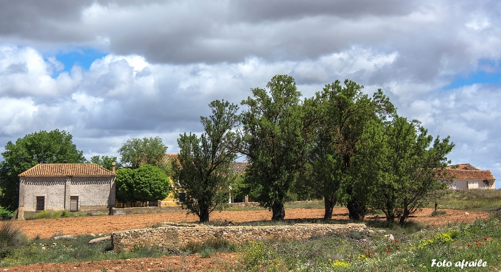 Albacete Ahora Villar de Chinchilla