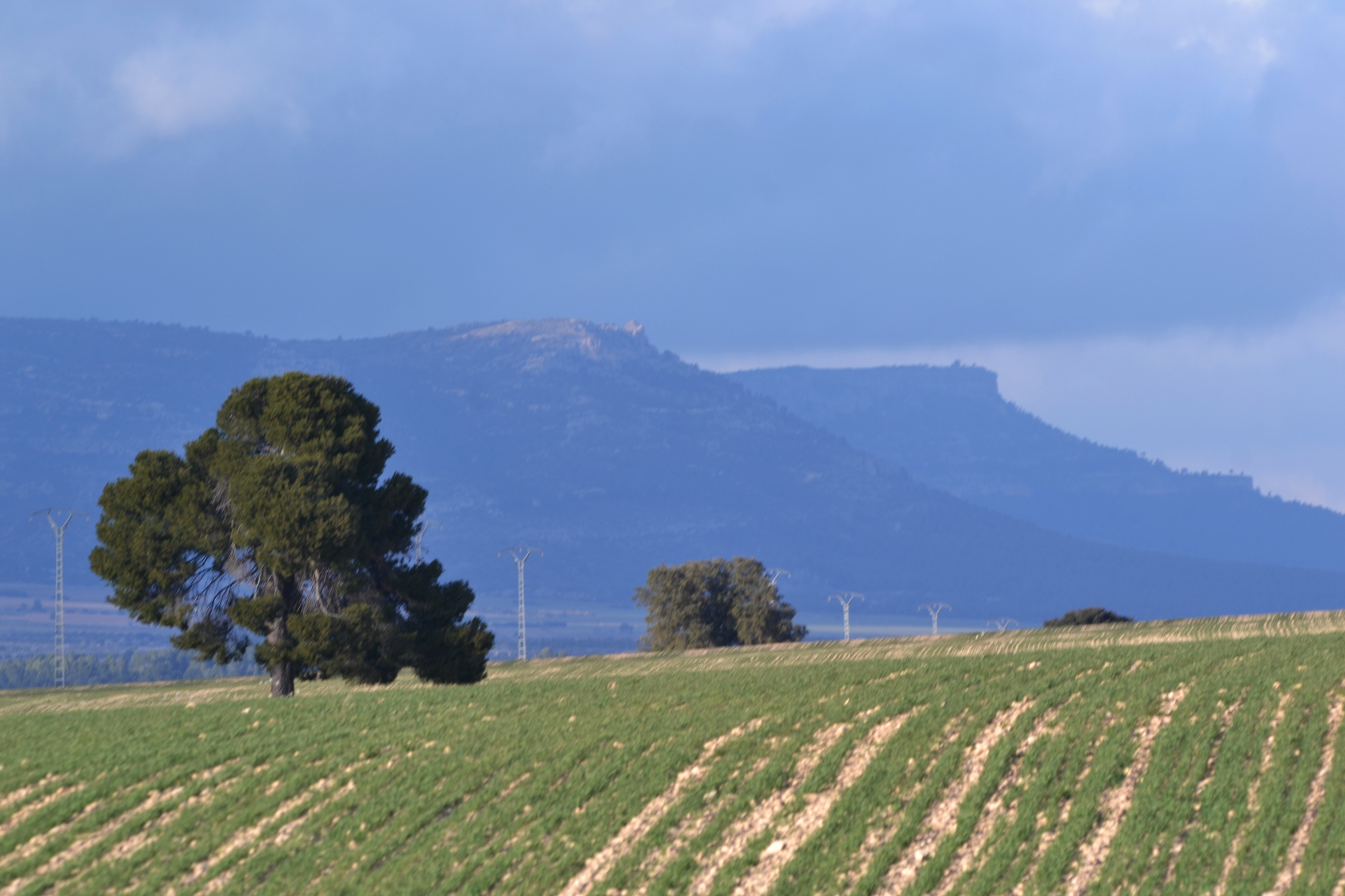 Albacete Ahora Corredor Monte Ibérico desde El Mugrón