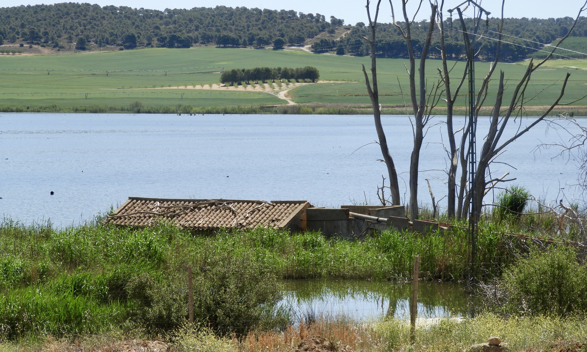 Albacete Ahora Laguna de Ontalafia