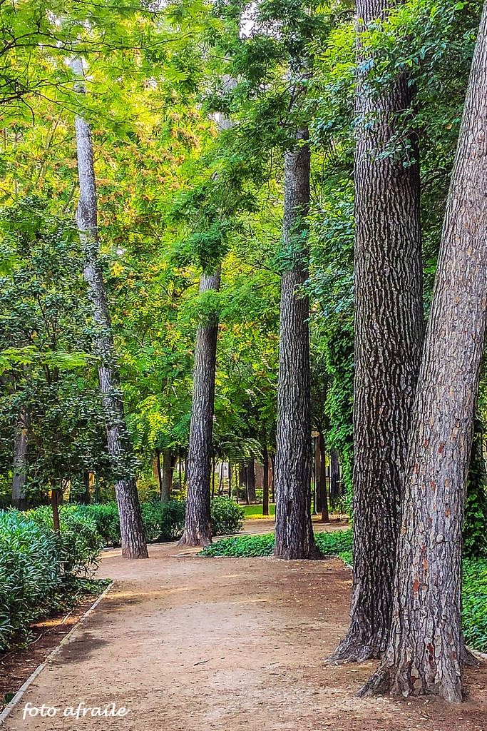 Albacete Ahora Parque de Abelardo S&aacute;nchez