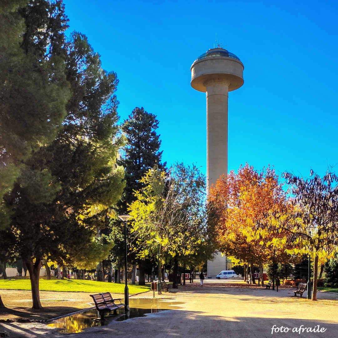 Albacete Ahora Parque de la Fiesta del Árbol