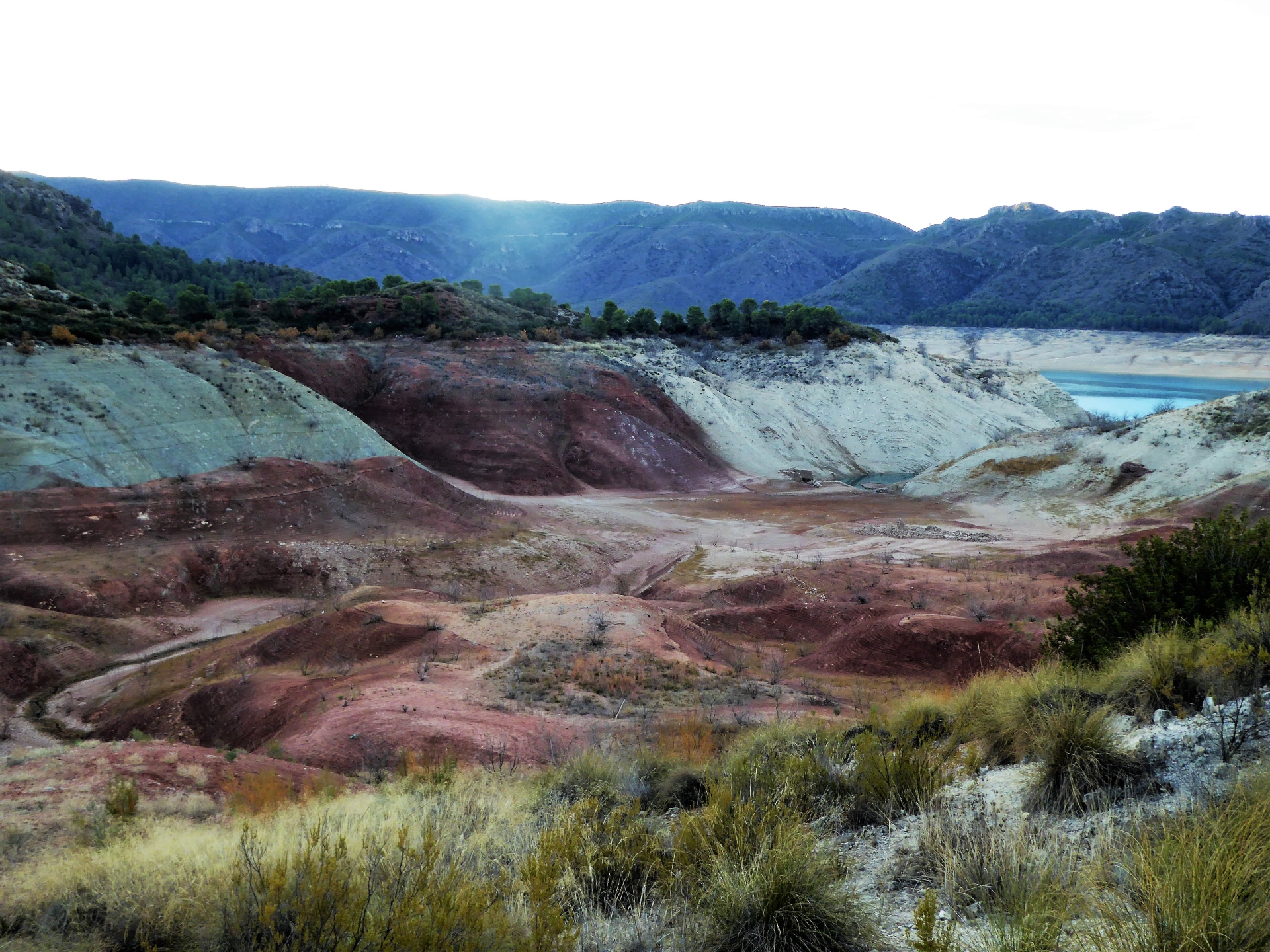 Albacete Ahora Antiguo salero de Palotares
