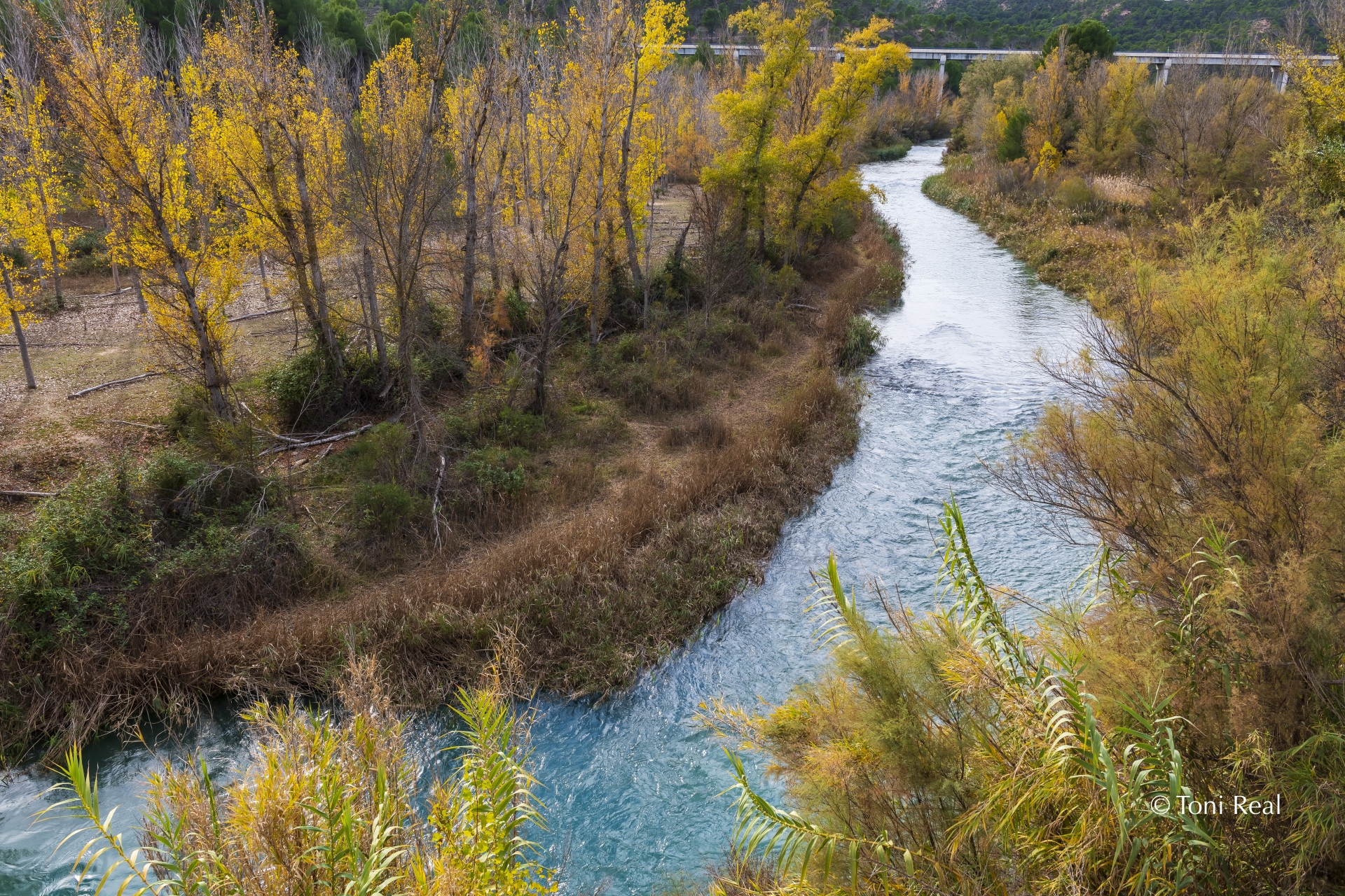 Albacete Ahora R&iacute;o Cabriel