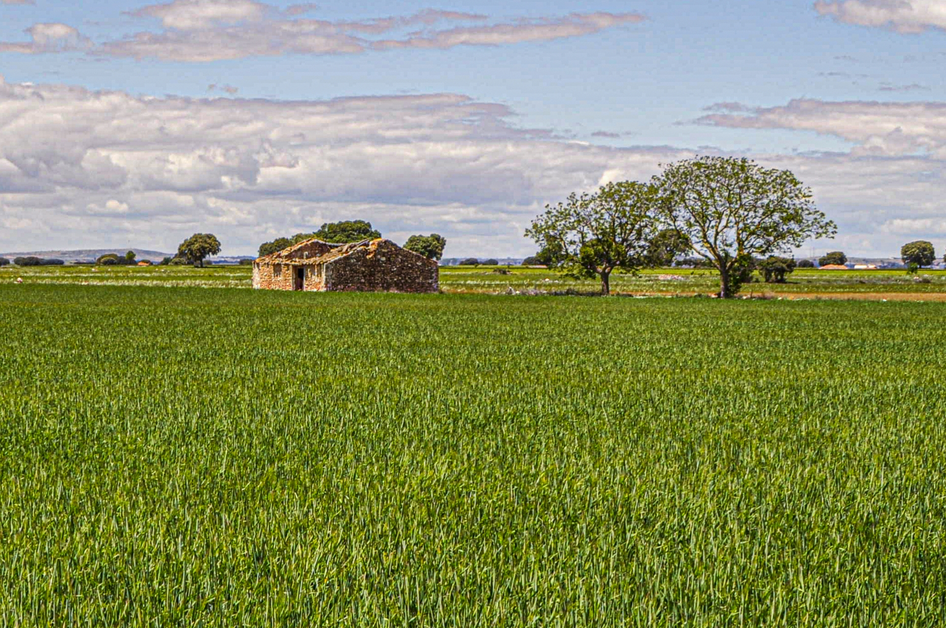 Albacete Ahora Casilla Rural y Parcela Rústica