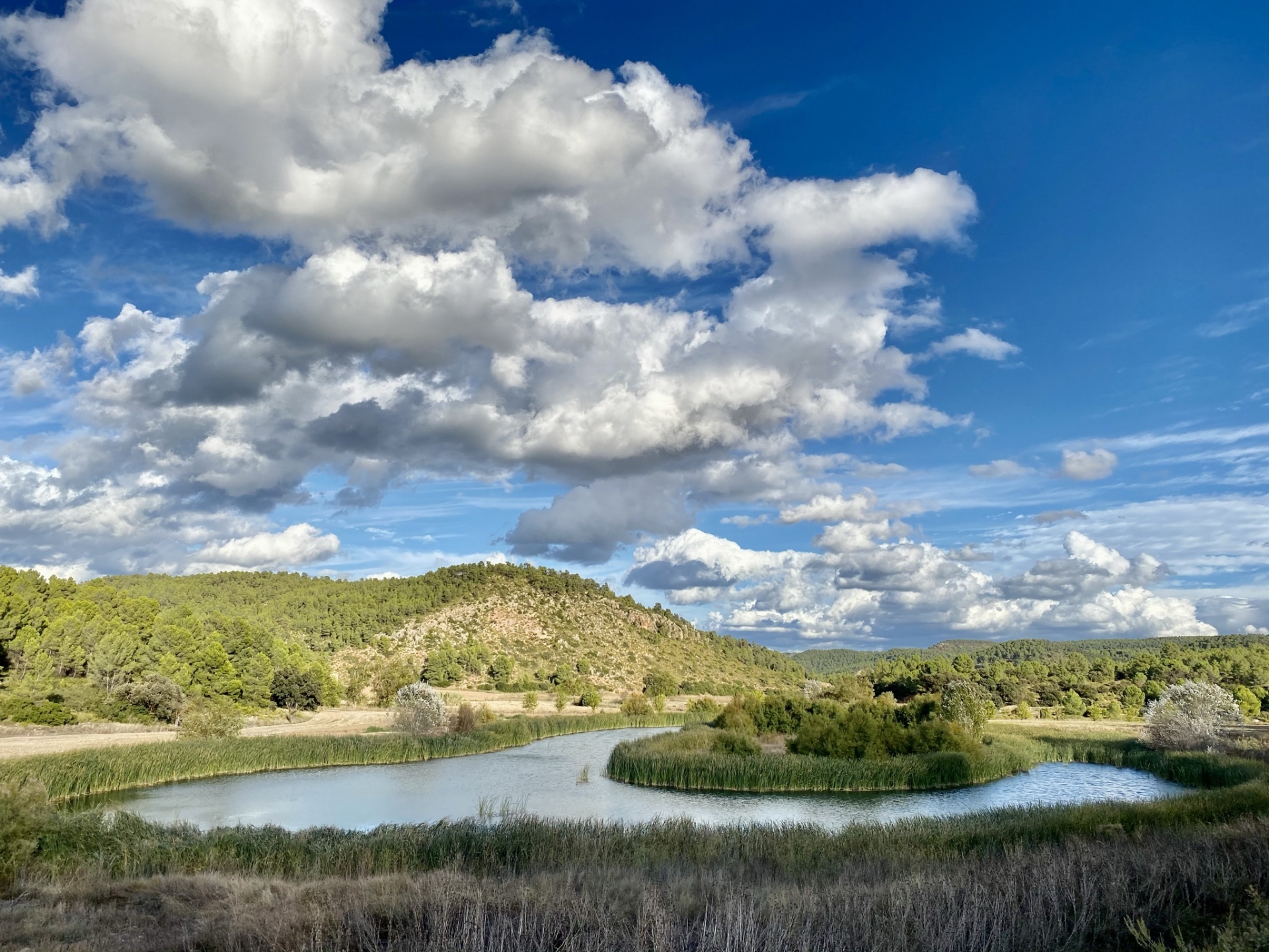 Albacete Ahora Laguna de Campiñana