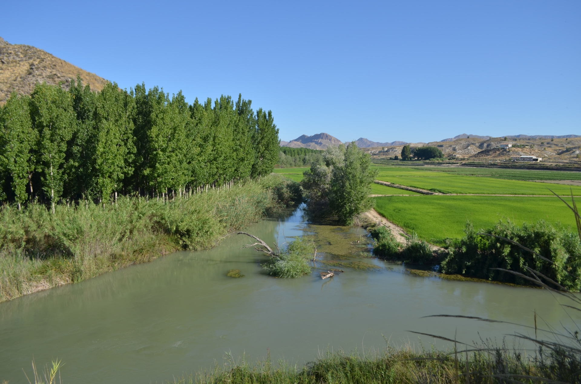Albacete Ahora Confluencia del río Mundo con el Río Segura. Las Minas