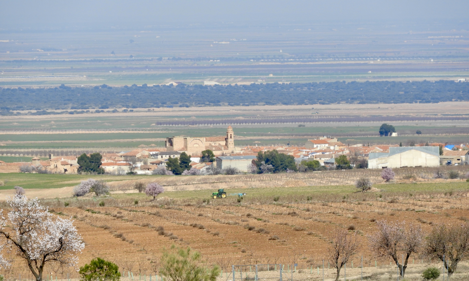 Albacete Ahora Pozuelo