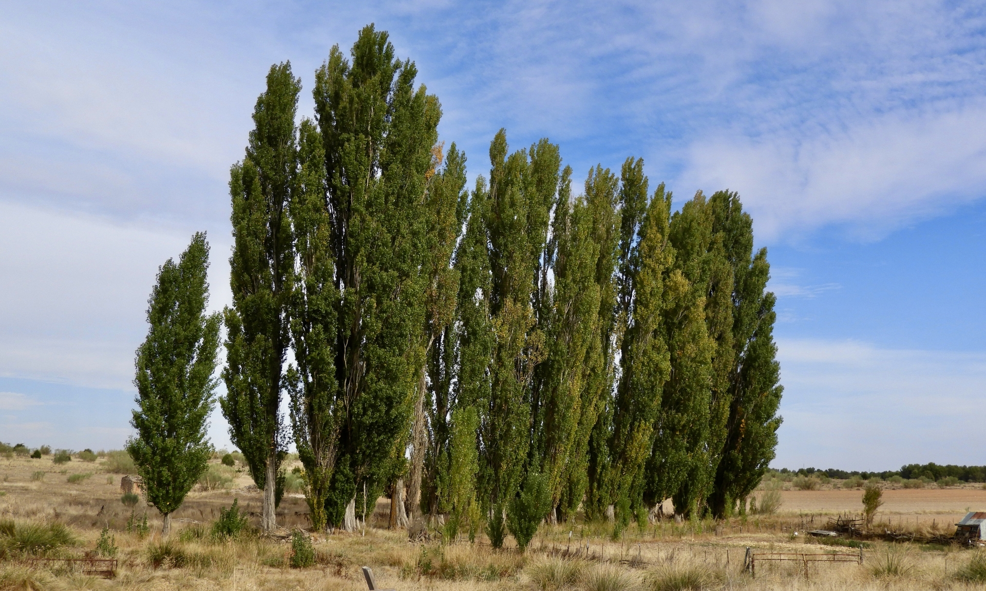 Albacete Ahora Paraje Pozo de La Almorada