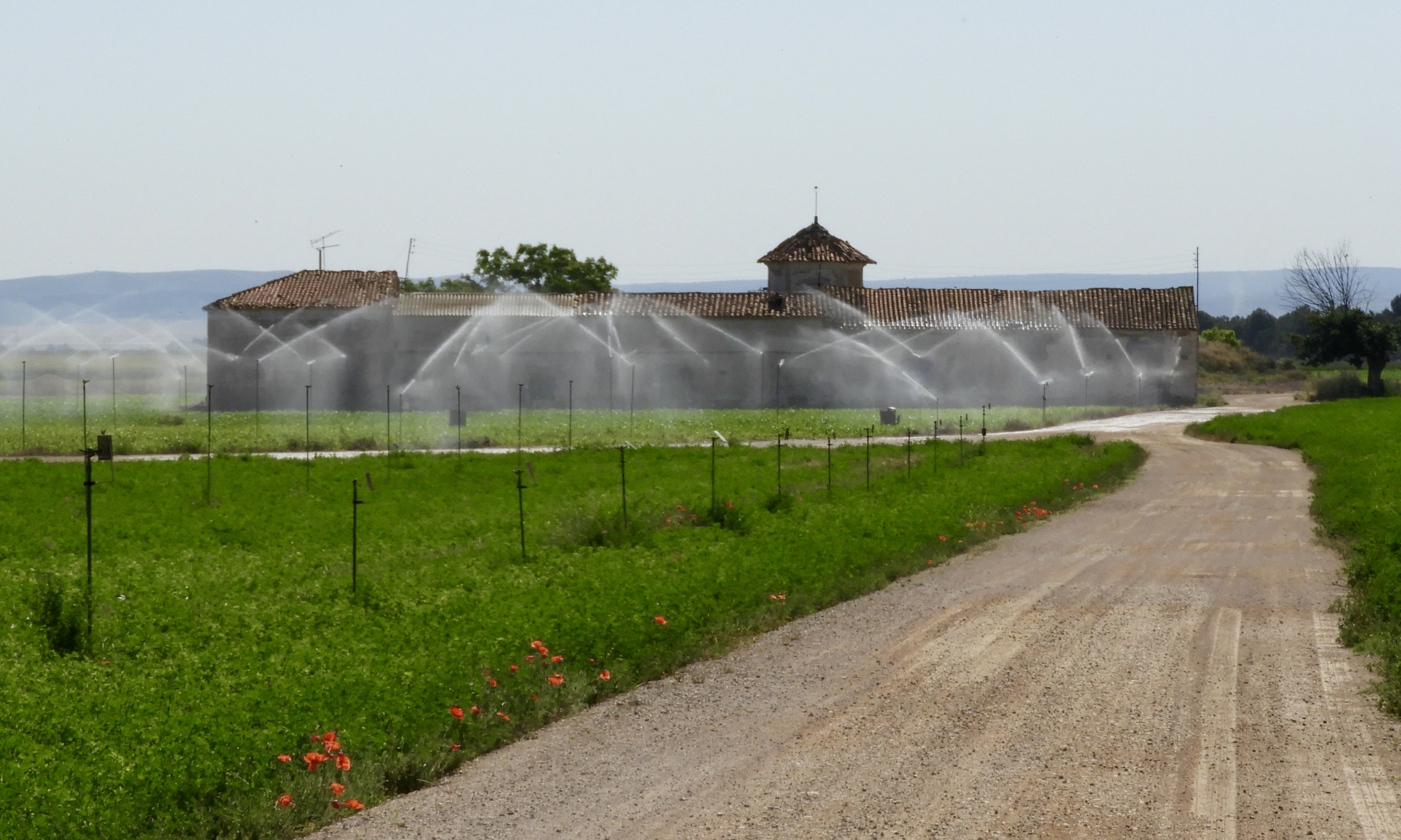 Albacete Ahora Finca La Pulgosa