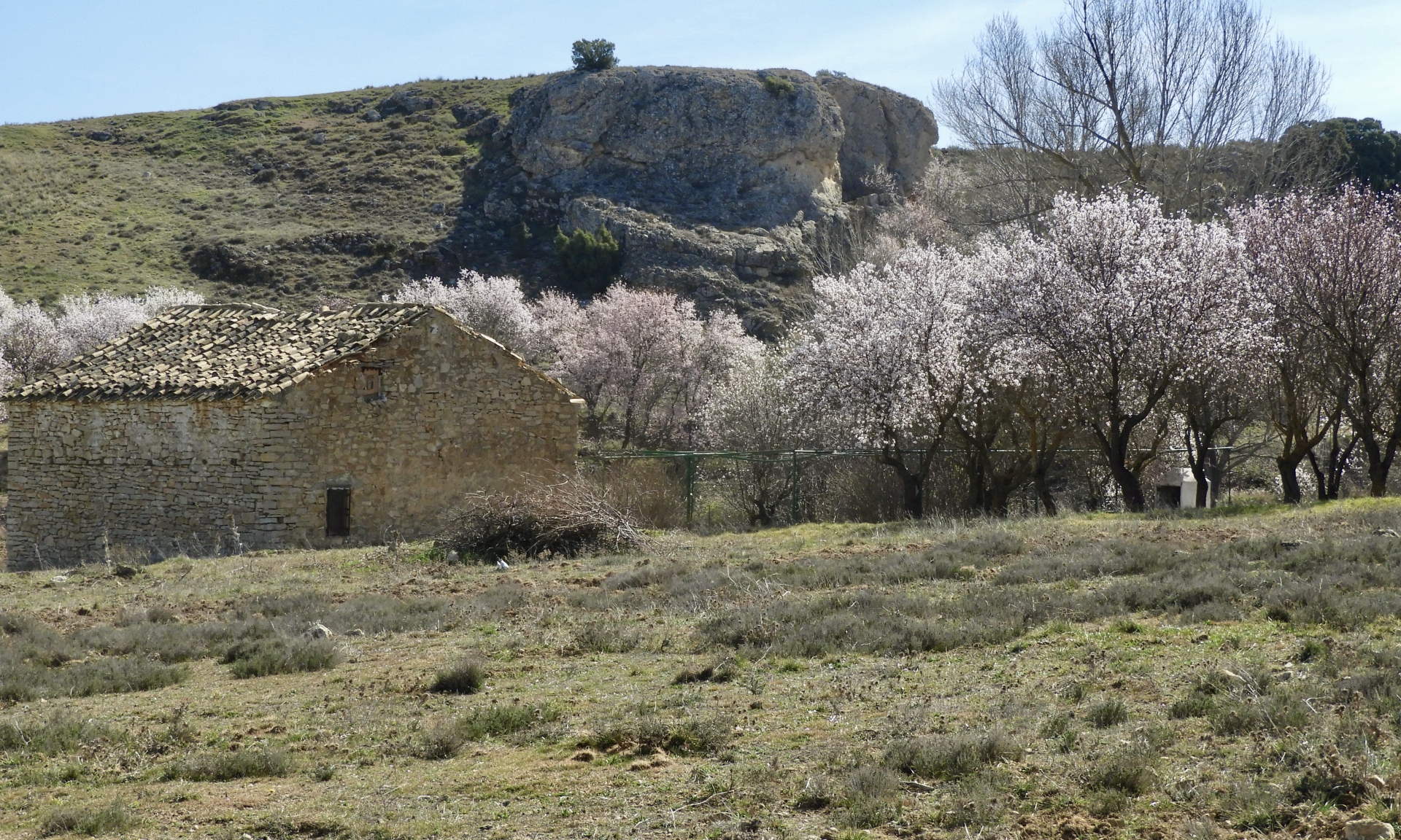 Albacete Ahora Morra del Quintanar