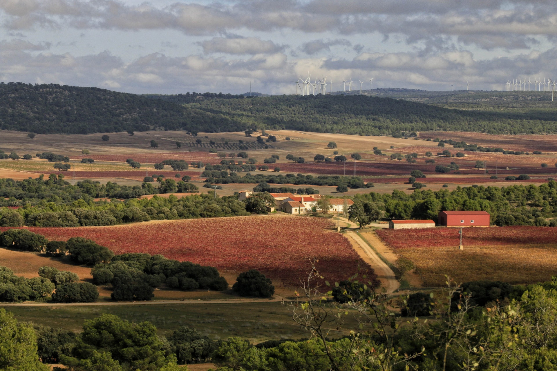 Albacete Ahora Paisaje de Higueruela