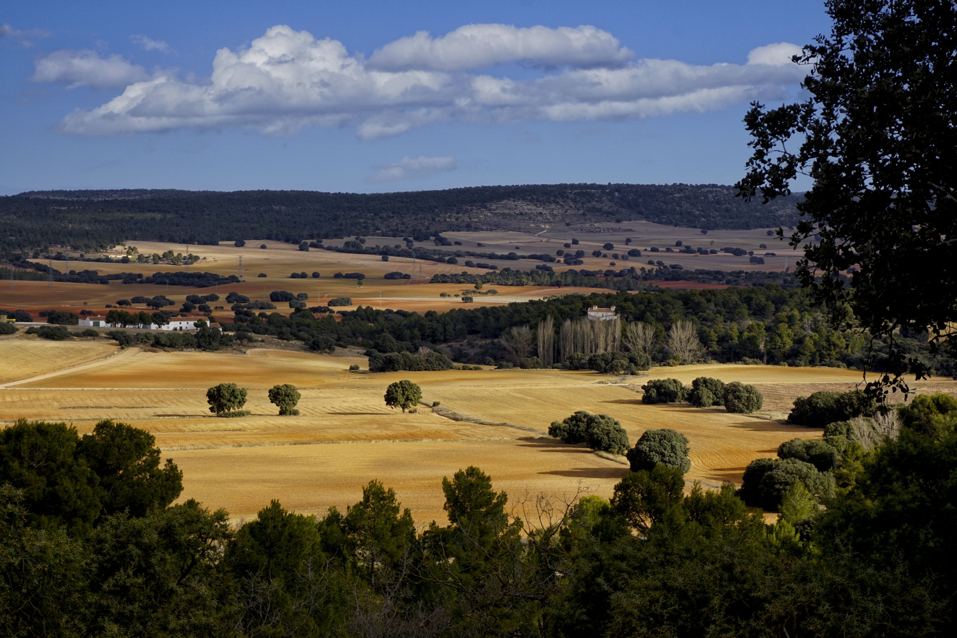 Albacete Ahora Paisaje en Higueruela
