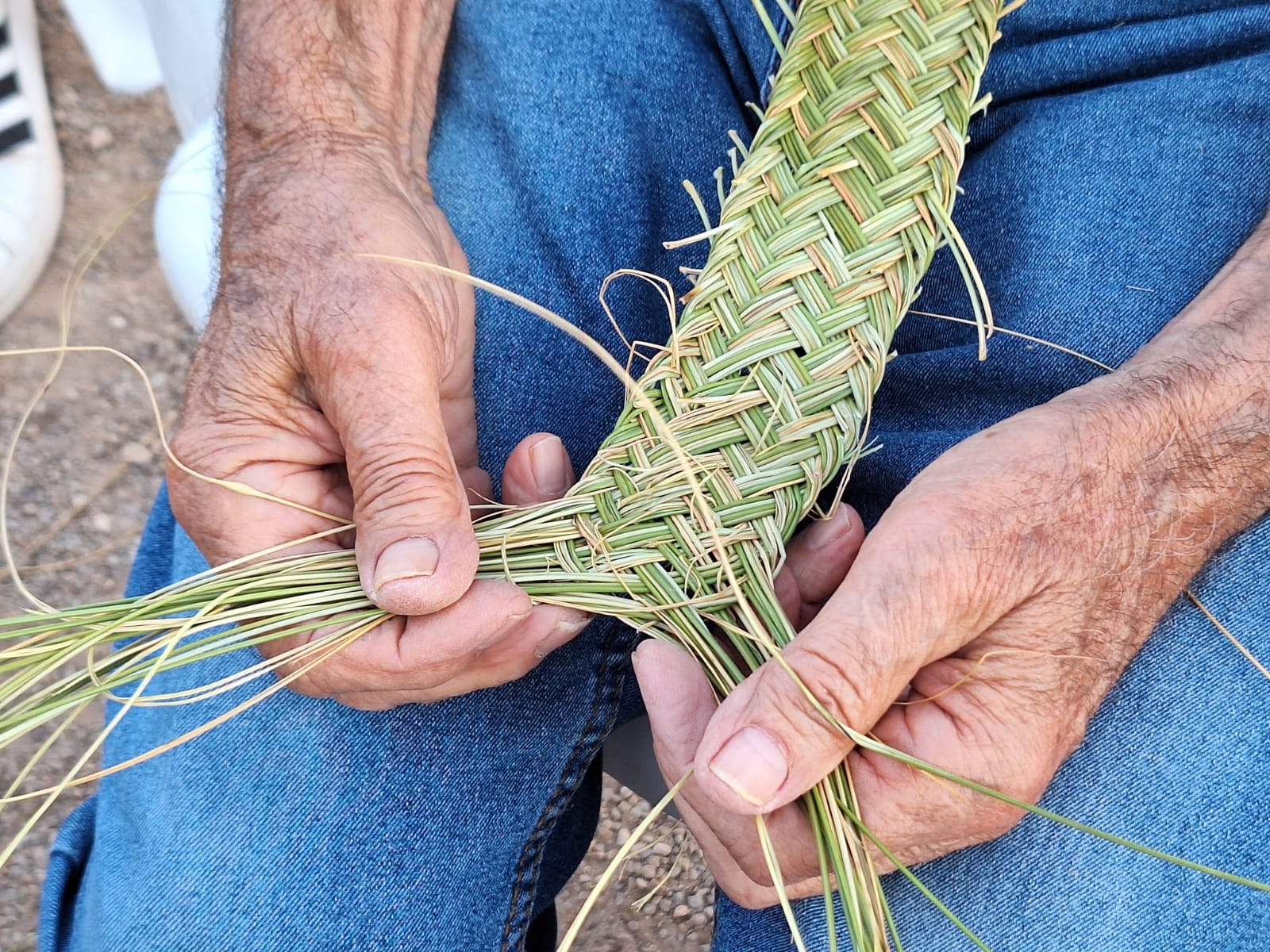 Albacete Ahora Haciendo Pleita