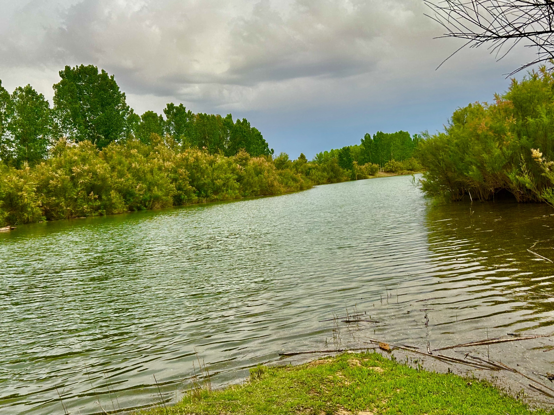 Albacete Ahora Río Mundo. Camarillas