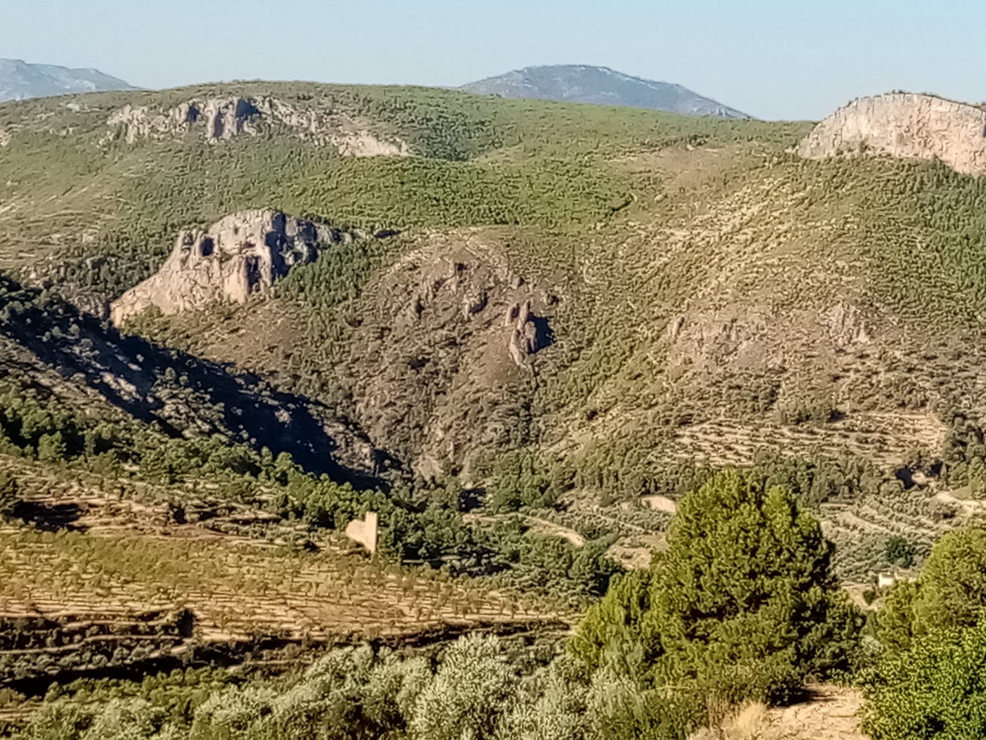 Albacete Ahora Atalaya