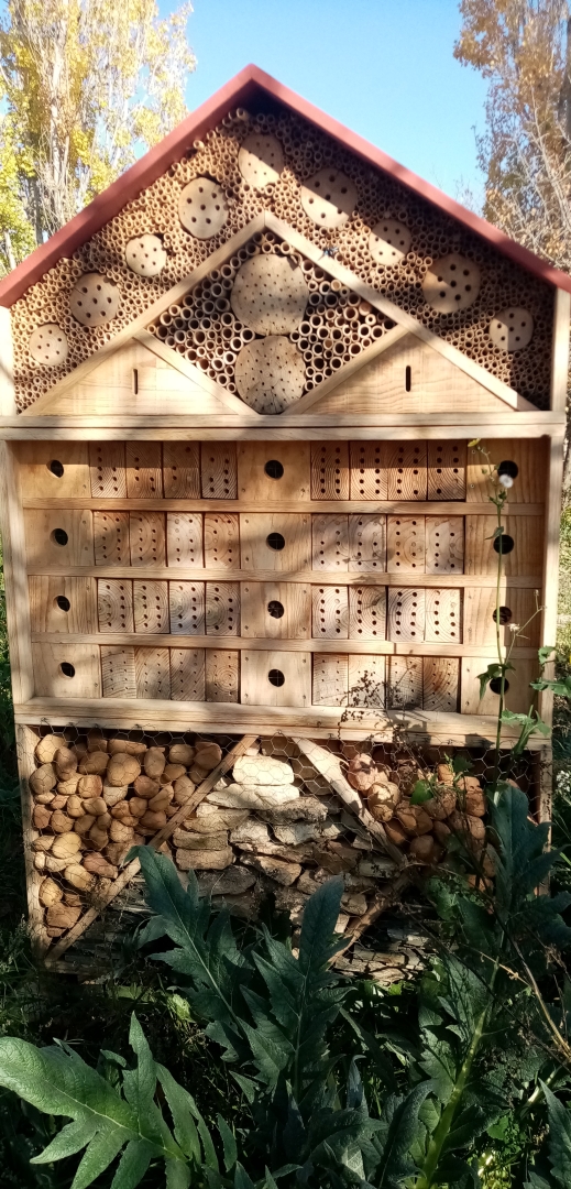 Albacete Ahora El Hotel de Abejas
