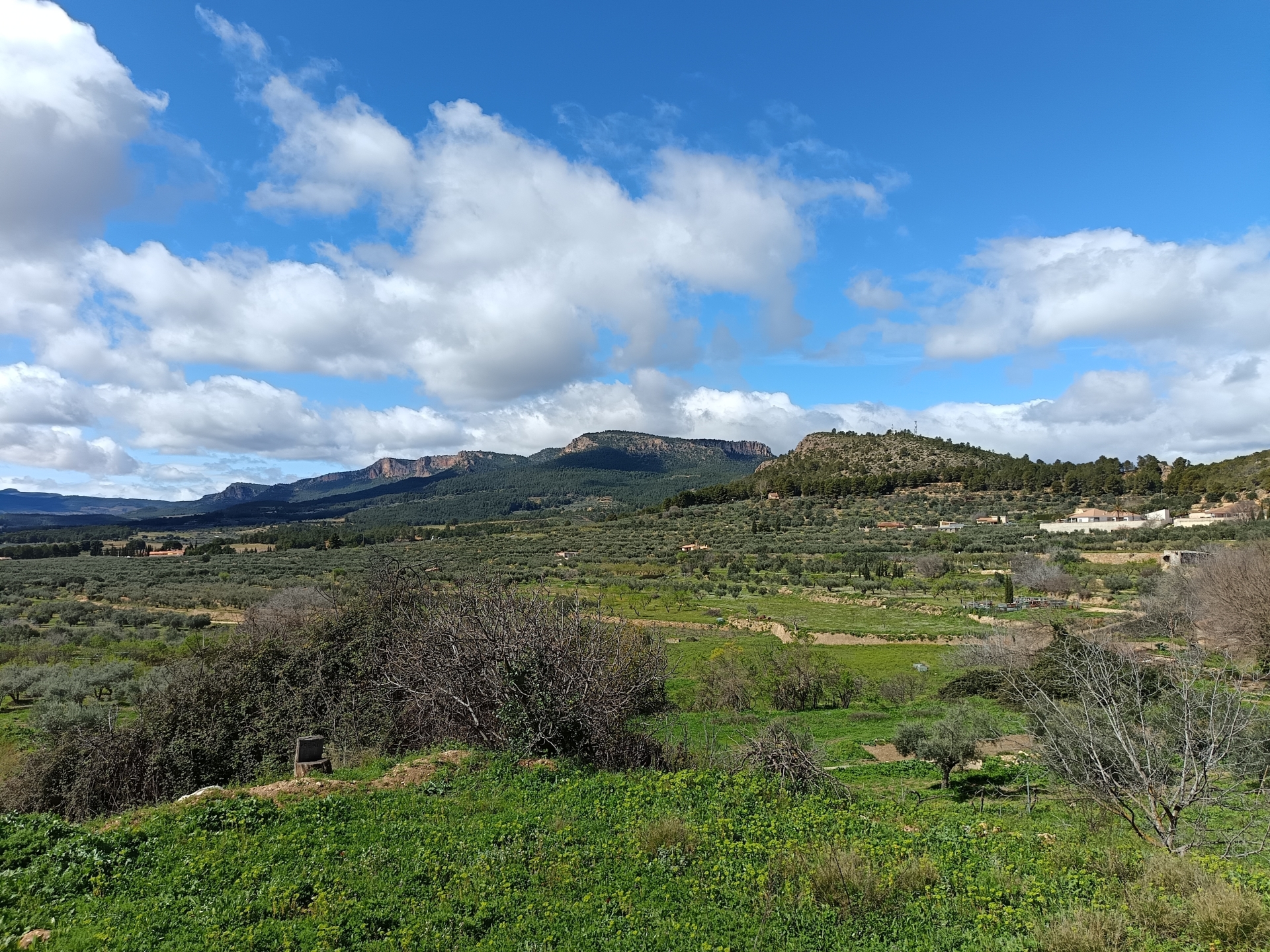 Albacete Ahora Calar de Socovos