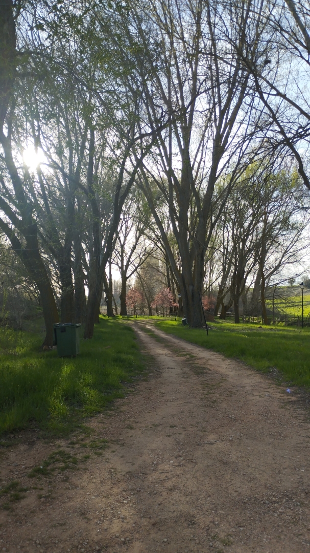 Albacete Ahora Pinilla