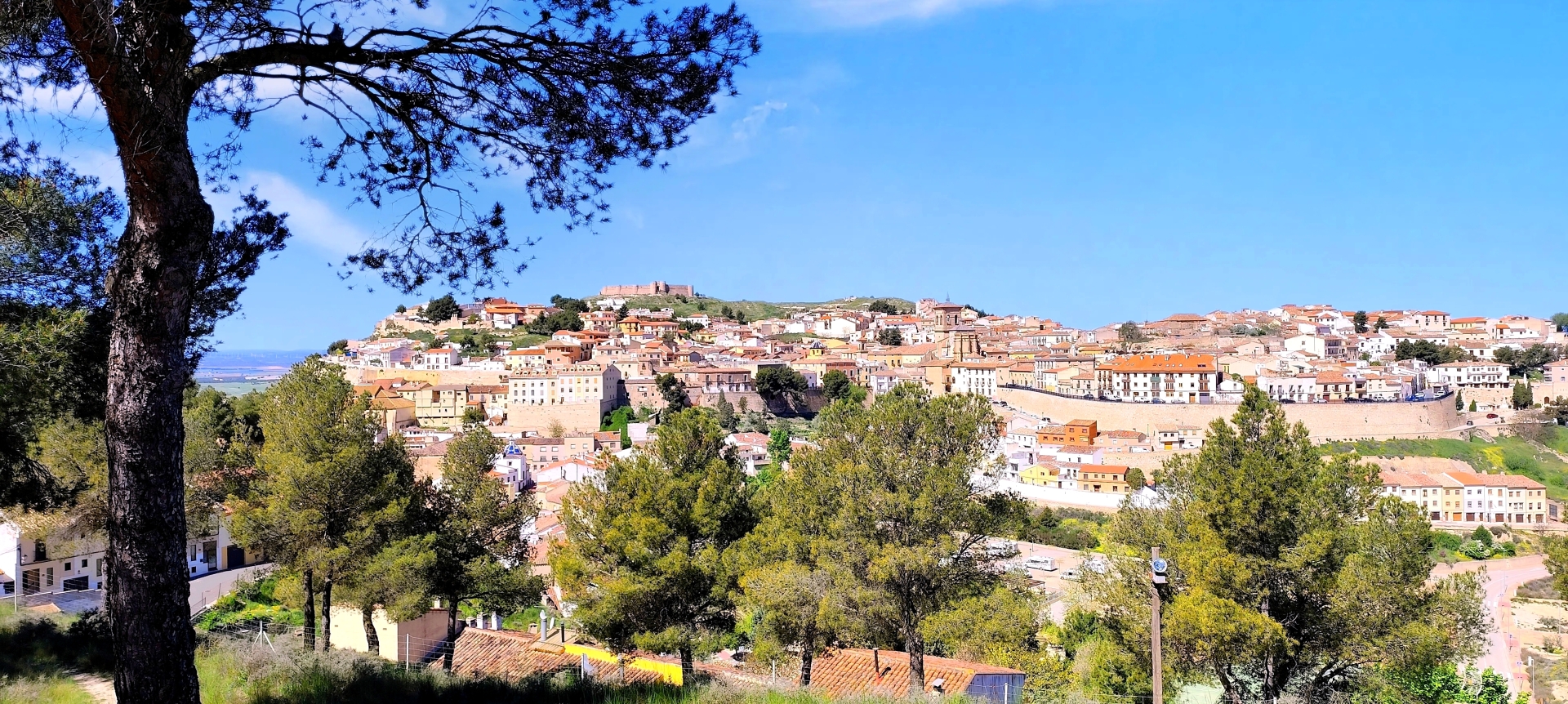 Albacete Ahora Chinchilla de Montearagón