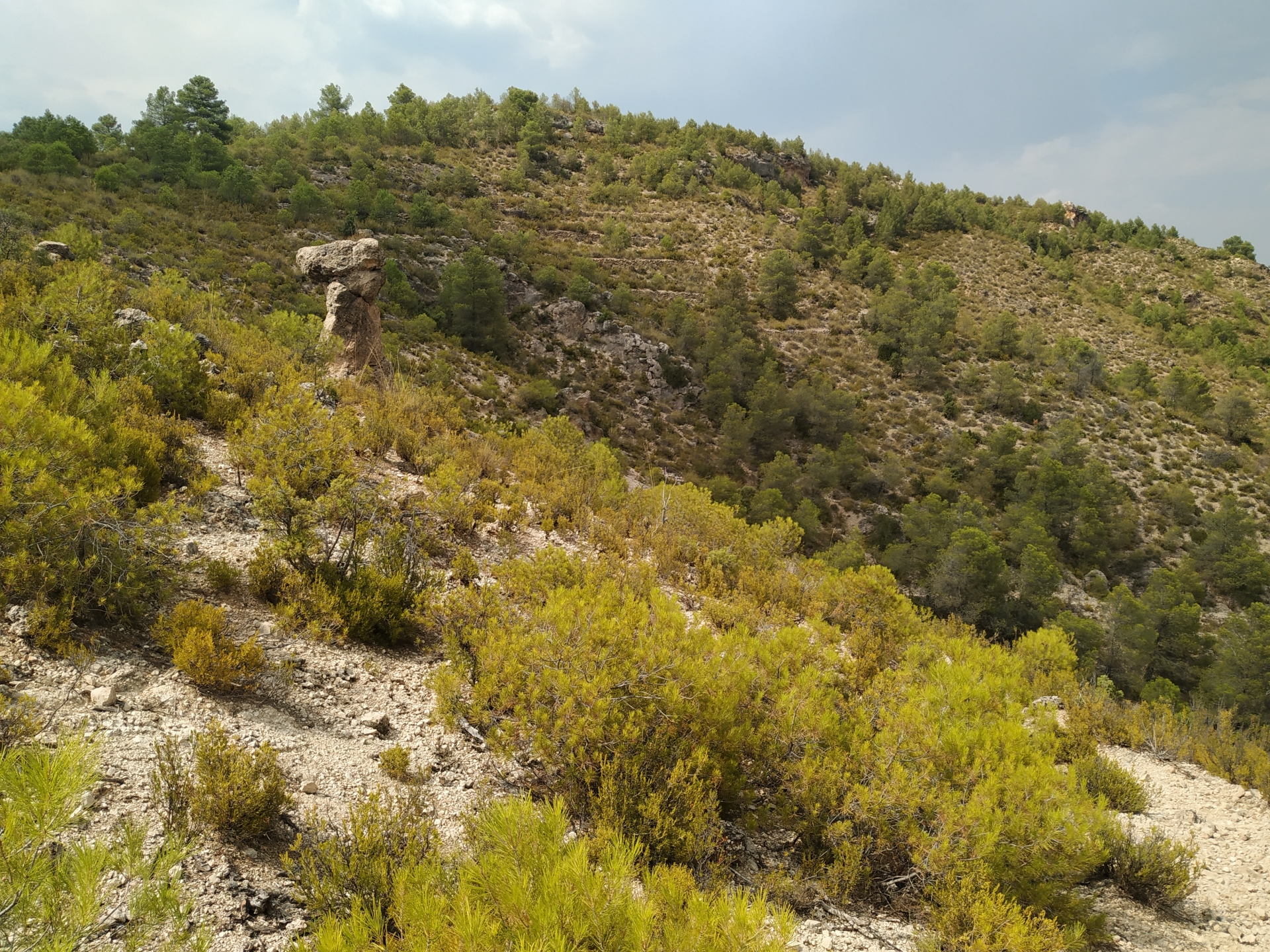Albacete Ahora Paraje El Poyo