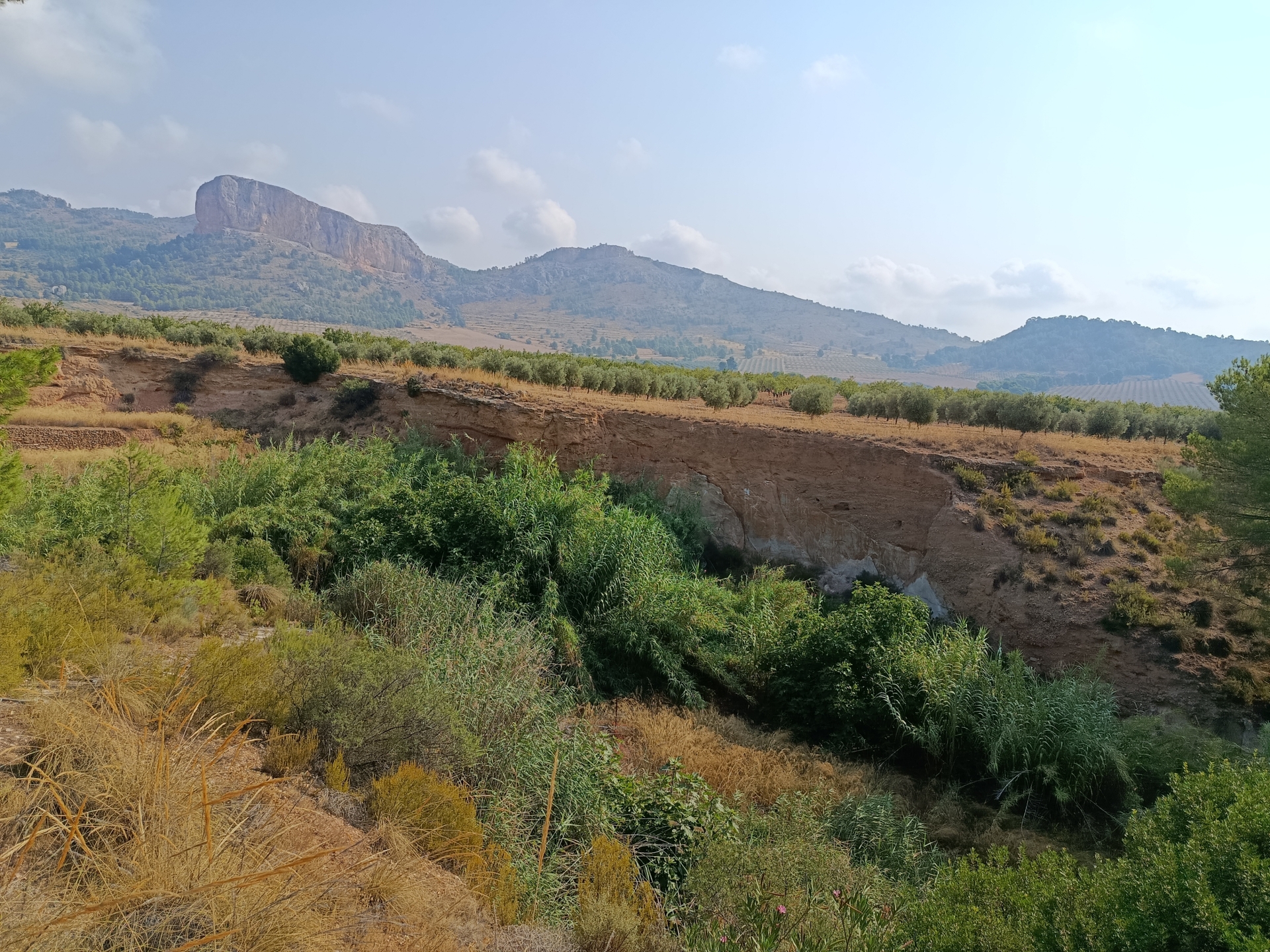 Albacete Ahora Rambla de Pe&ntilde;arrubia