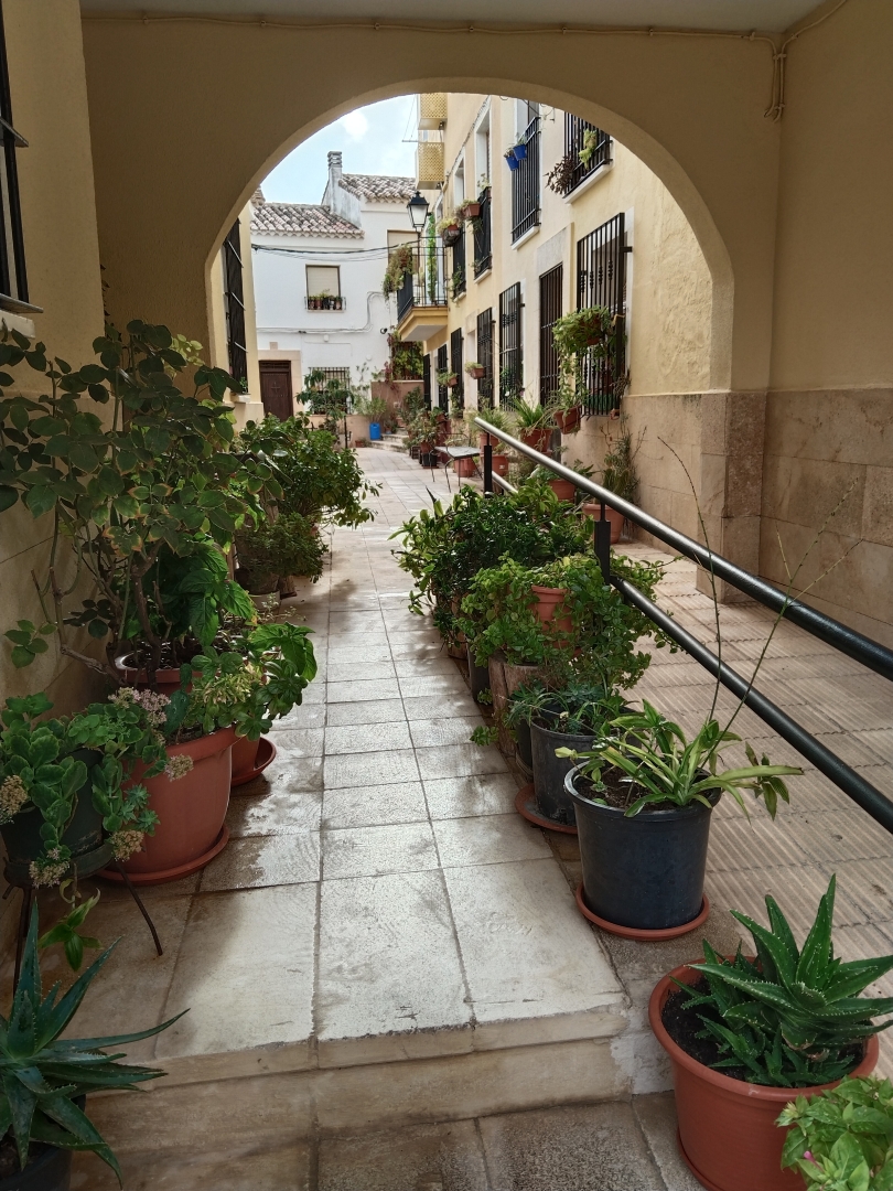Albacete Ahora Callejón