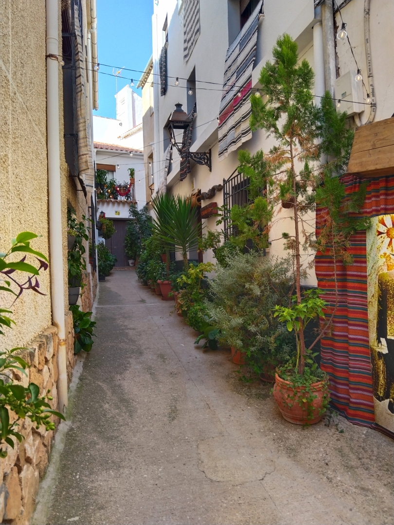 Albacete Ahora Calle alhajada