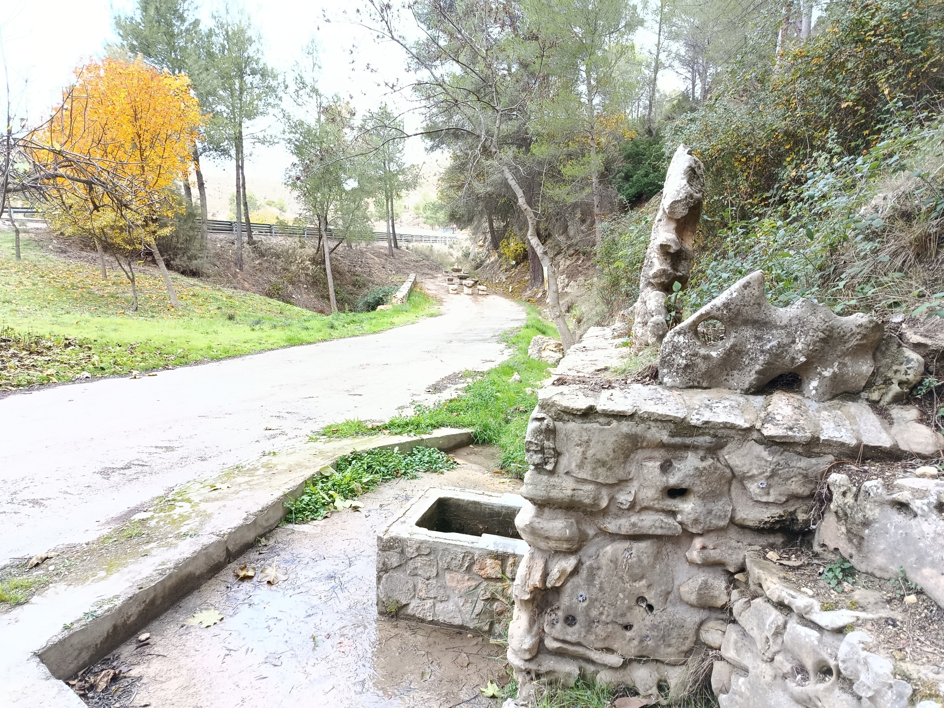 Albacete Ahora Fuente del Alamillo