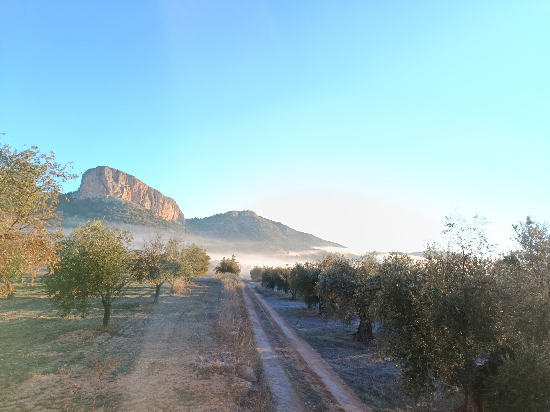 Albacete Ahora Pe&ntilde;arrubia