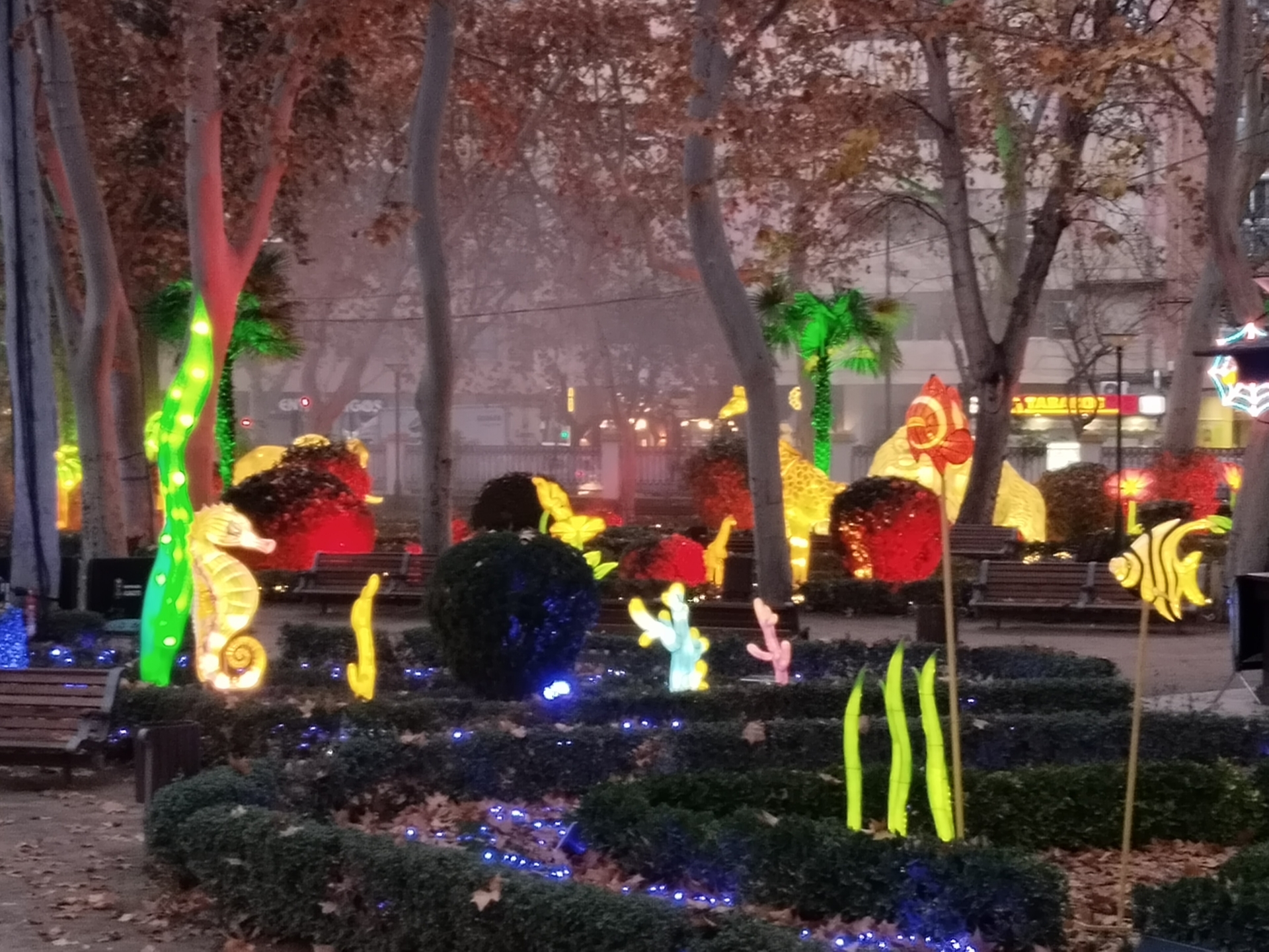 Albacete Ahora Parque de los Jardinillos