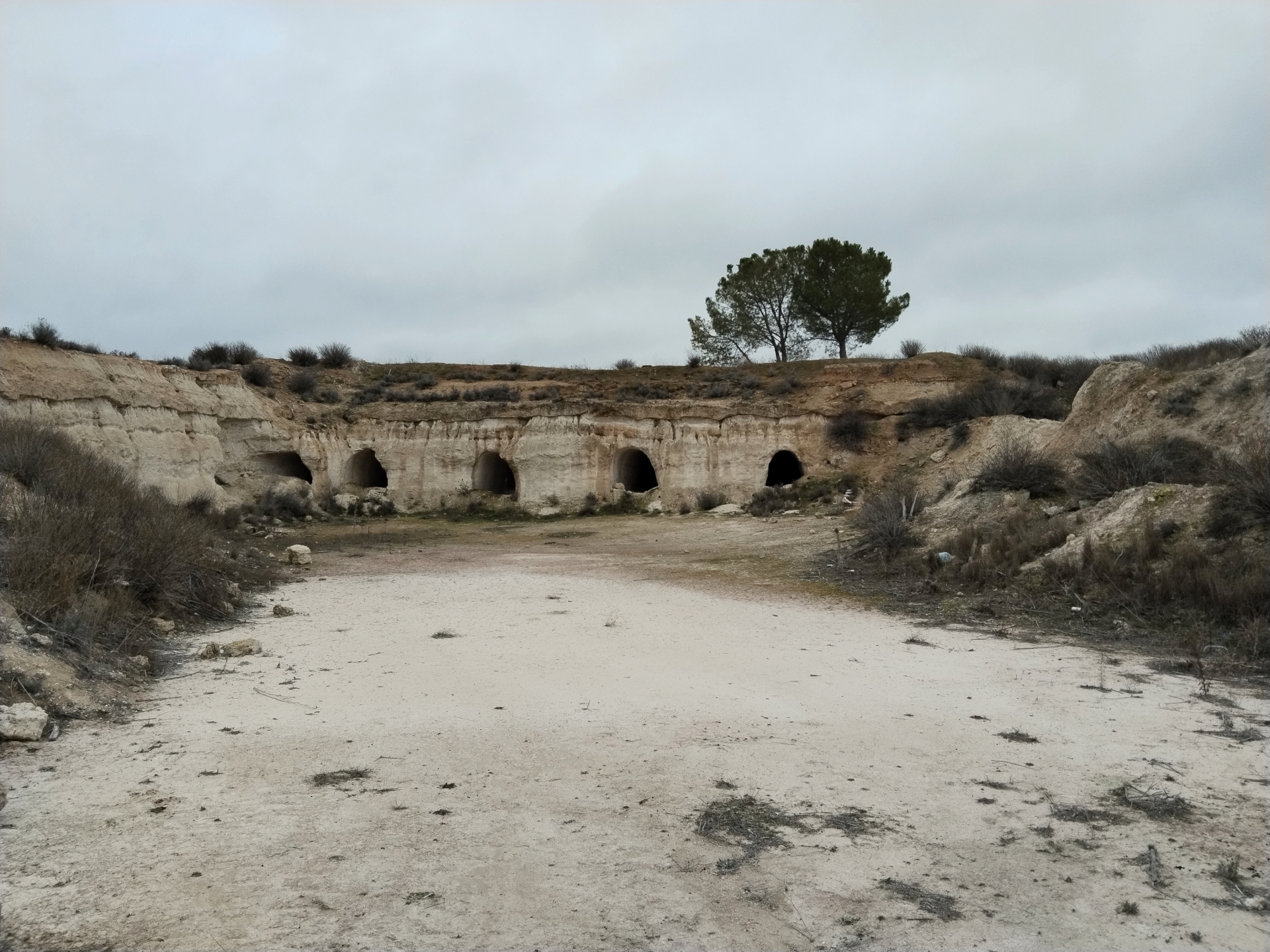 Albacete Ahora Cuevas de champi&ntilde;&oacute;n