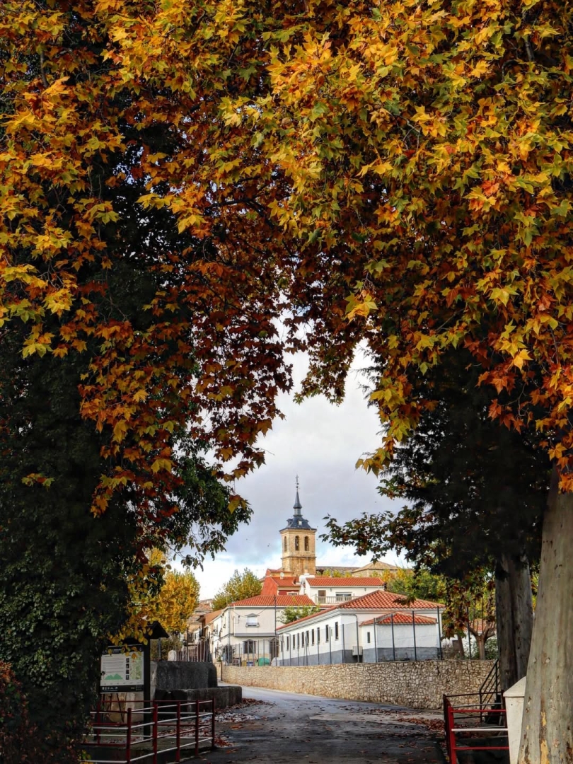 Albacete Ahora Lezuza