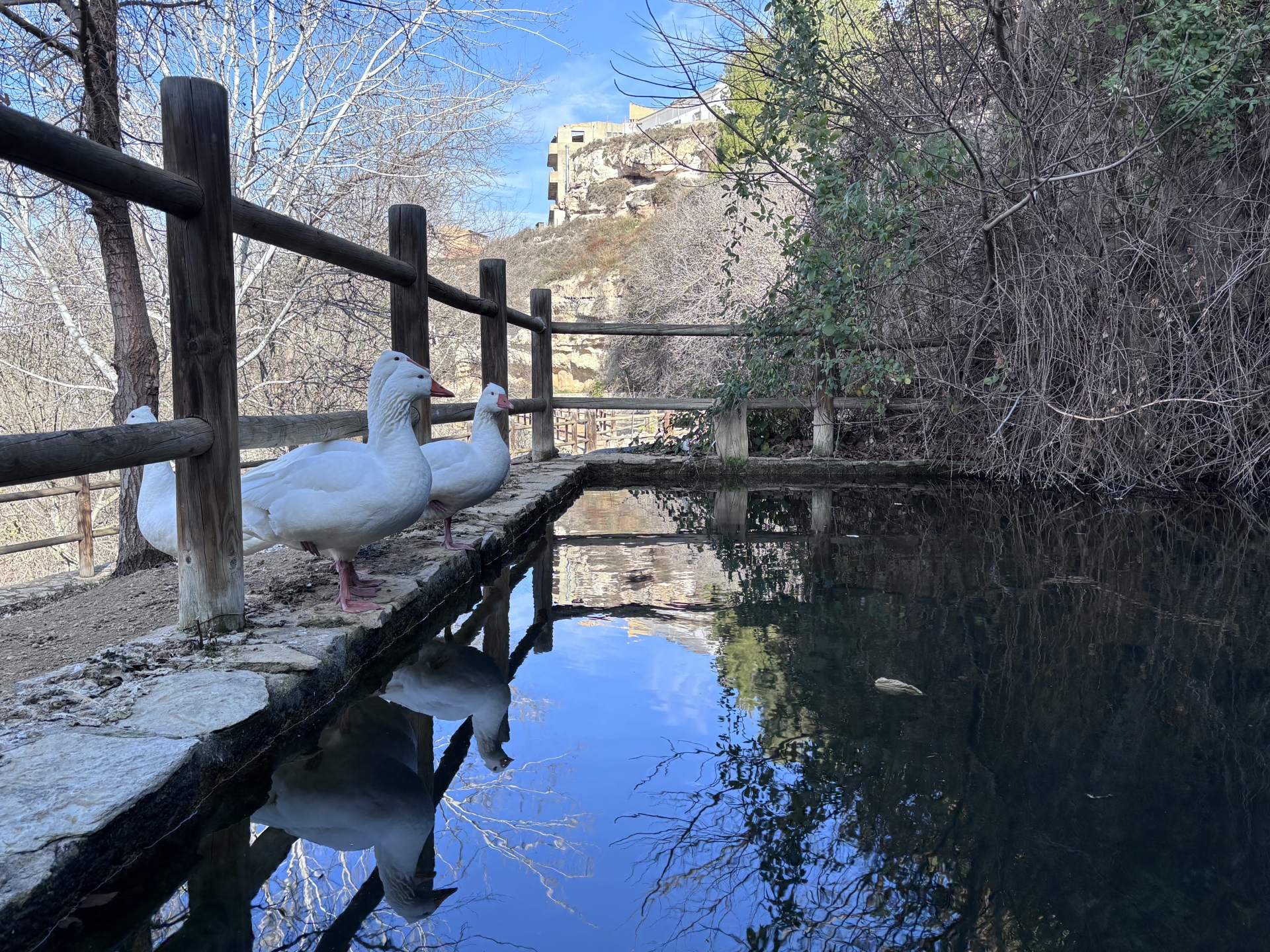 Albacete Ahora Balsa de los Patos en Abengibre