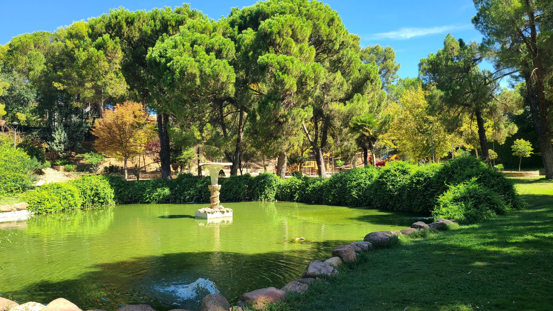 Albacete Ahora Un d&iacute;a en el parque