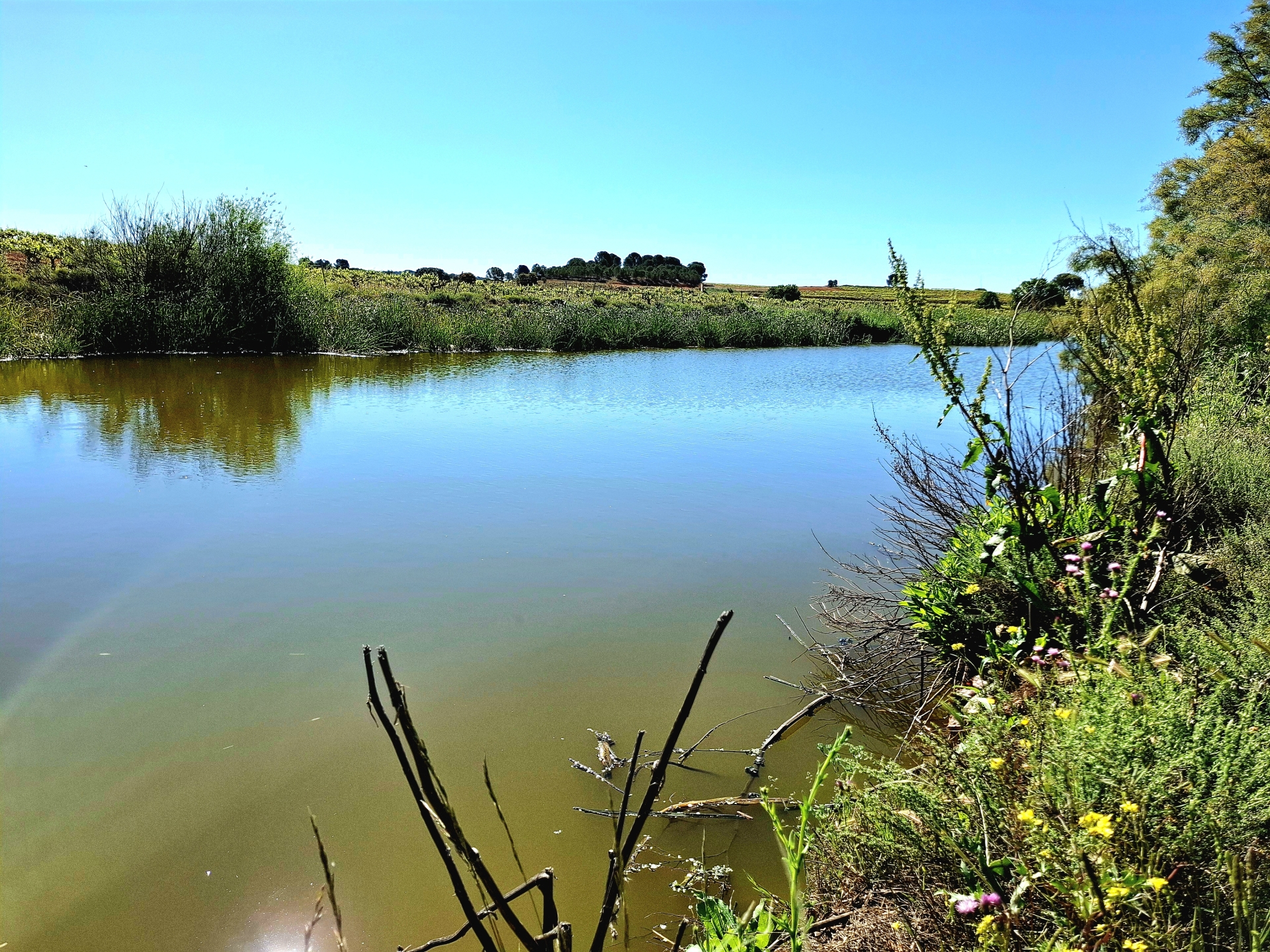 Albacete Ahora Laguna de la Media Legua