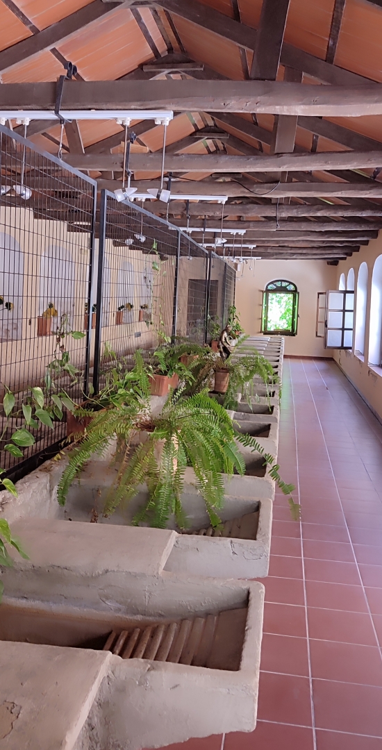 Albacete Ahora Lavadero El Rambl&oacute;n