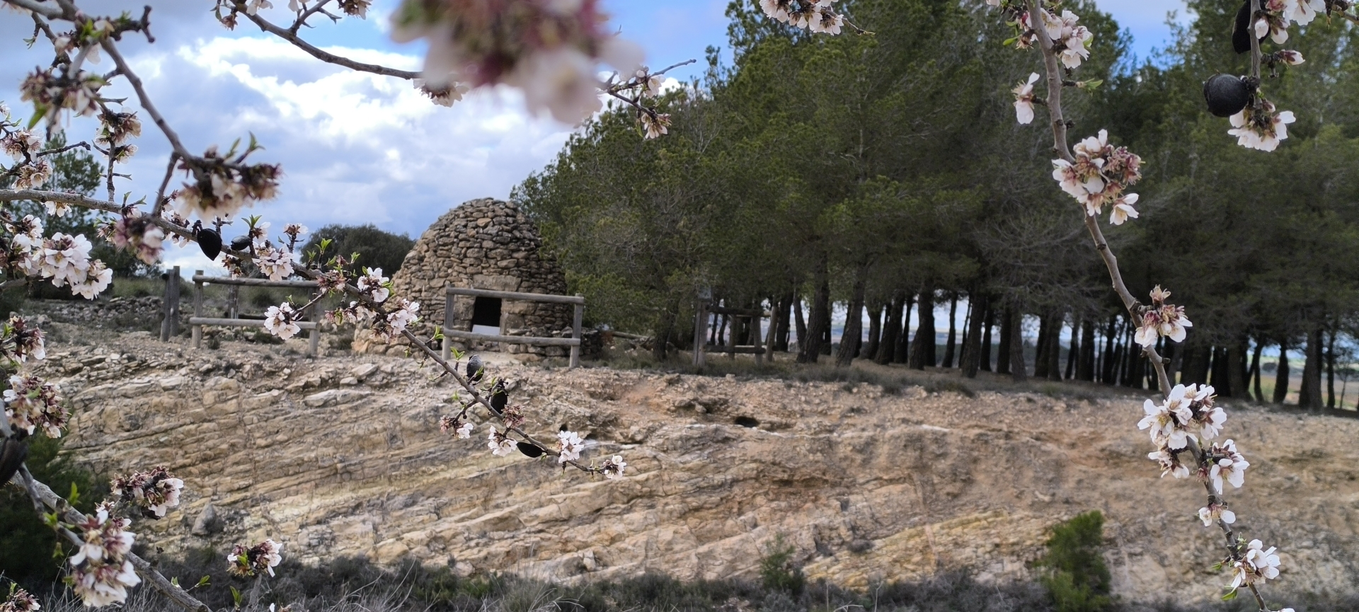 Albacete Ahora Refugio